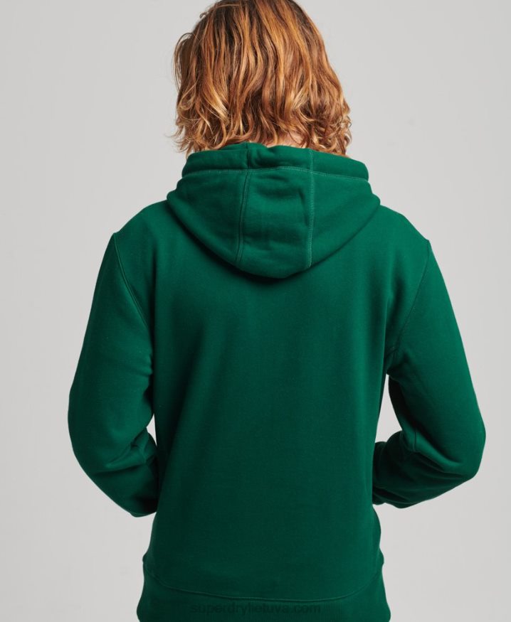 Superdry Applique Hoodie Green Men