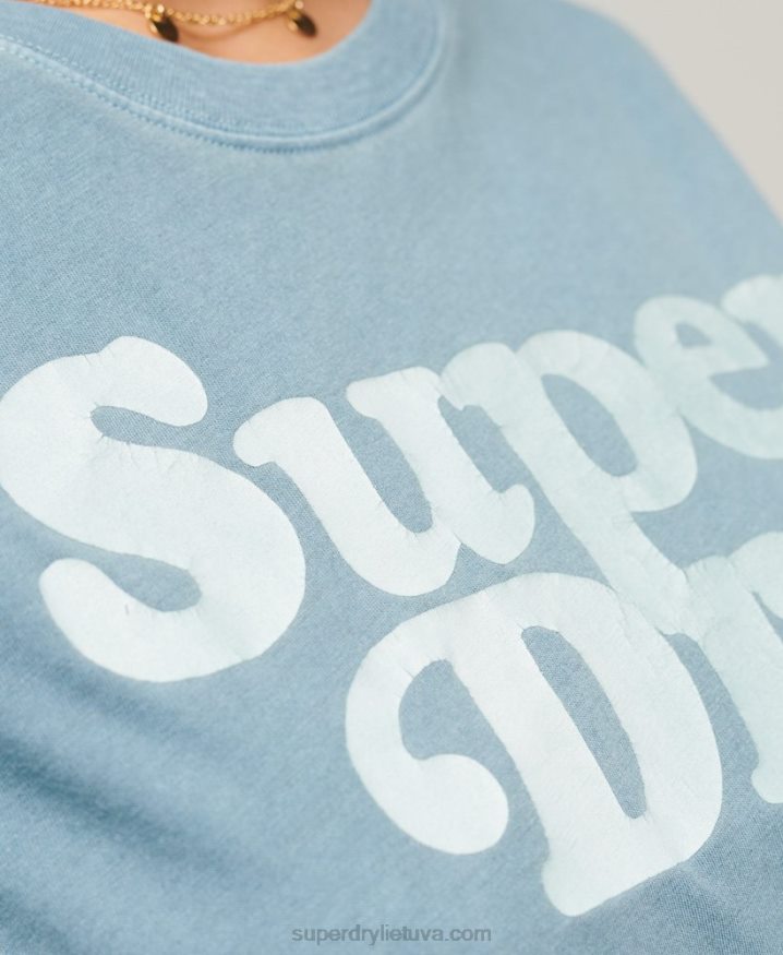 Superdry Cooper Classic 70s Logo T-Shirt Grey Women