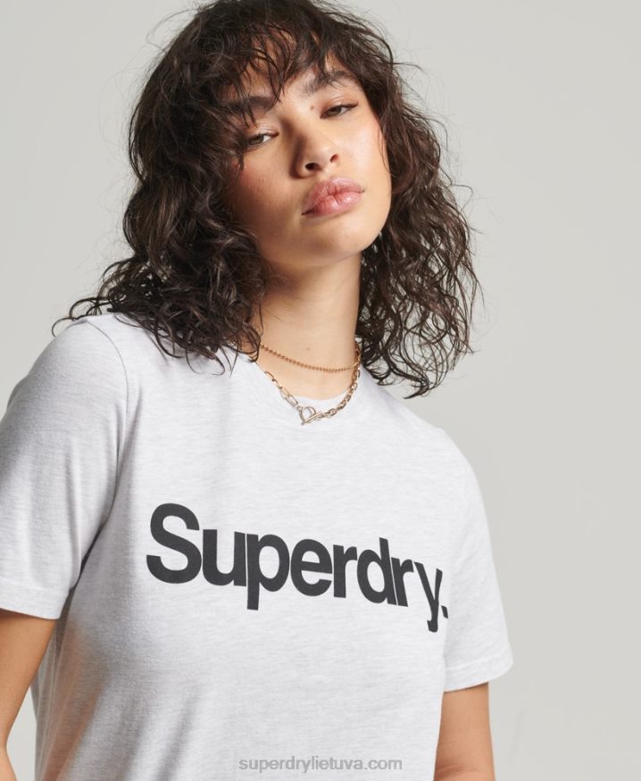 Superdry Core Logo T-Shirt Light Grey Women