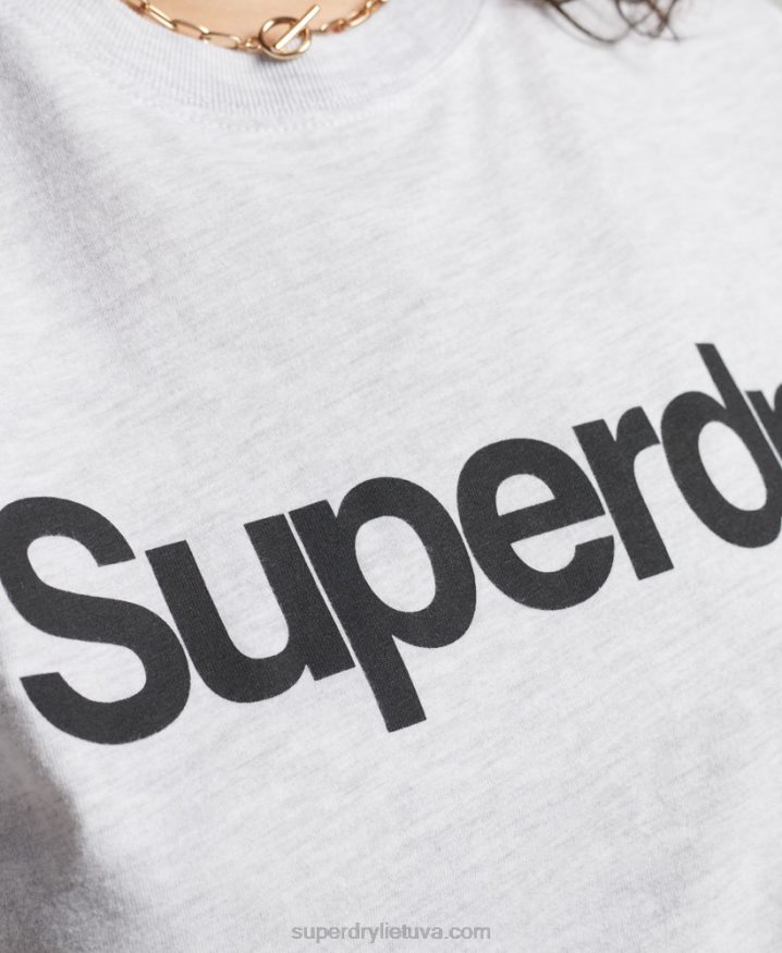 Superdry Core Logo T-Shirt Light Grey Women