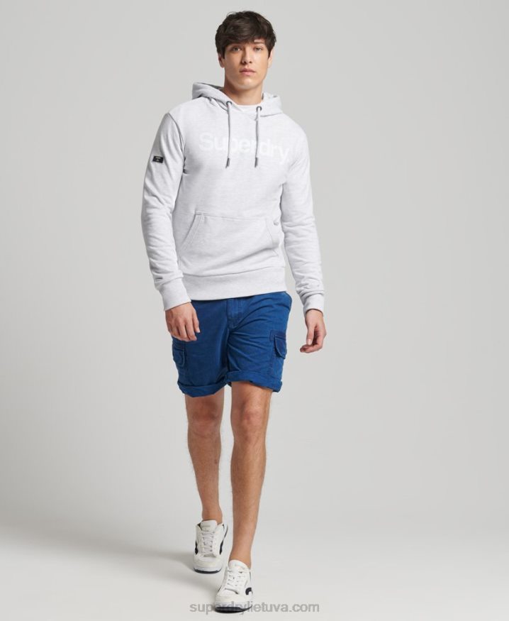 Superdry Core Logo Unbrushed Hoodie Light Grey Men