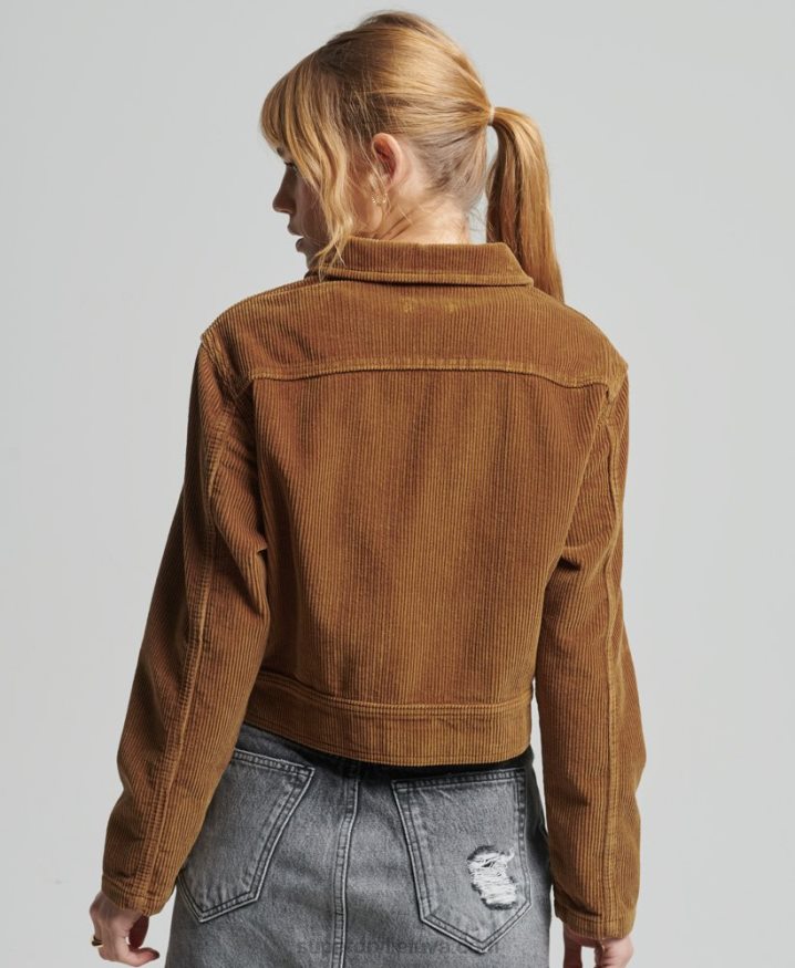 Superdry Cropped Cord Jacket Brown Women