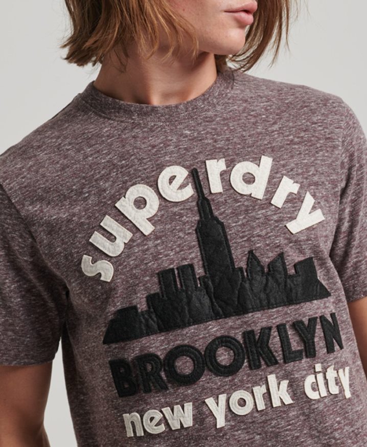 Superdry Great Outdoors Applique T-Shirt Brown Men