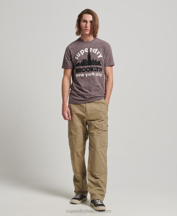 Superdry Great Outdoors Applique T-Shirt Brown Men