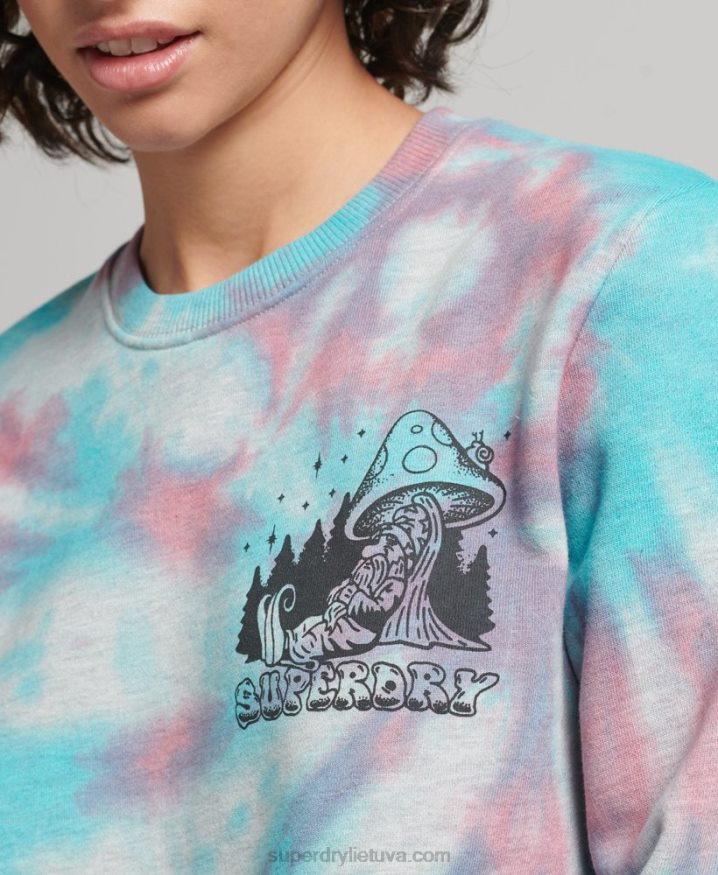 Superdry Into the Woods Graphic Sweatshirt Grey Women