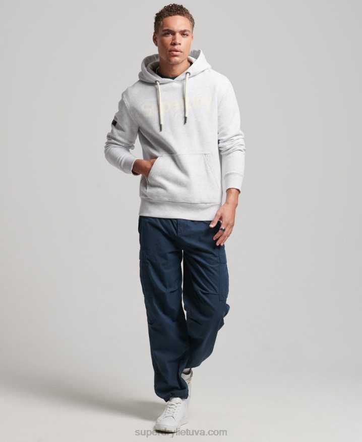 Superdry Organic Cotton Core Logo Graphic Hoodie Light Grey Men