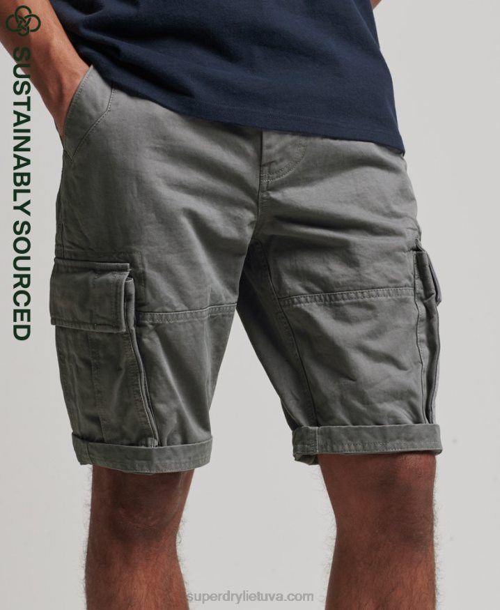 Superdry Organic Cotton Vintage Core Cargo Heavy Shorts Grey Men