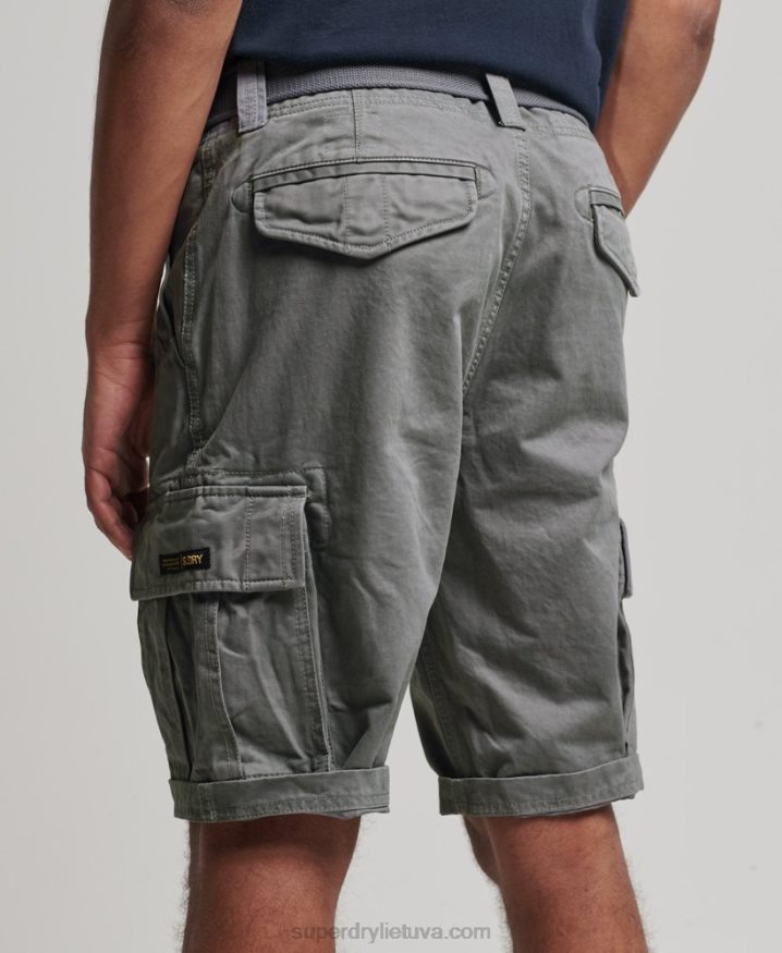 Superdry Organic Cotton Vintage Core Cargo Heavy Shorts Grey Men