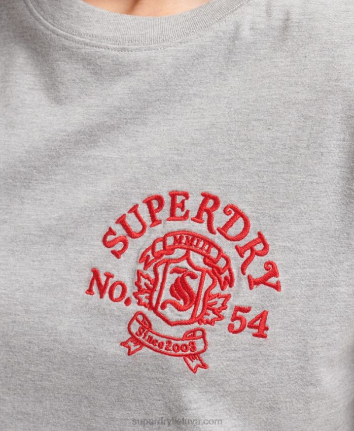 Superdry Pride  Craft T-Shirt Grey Women