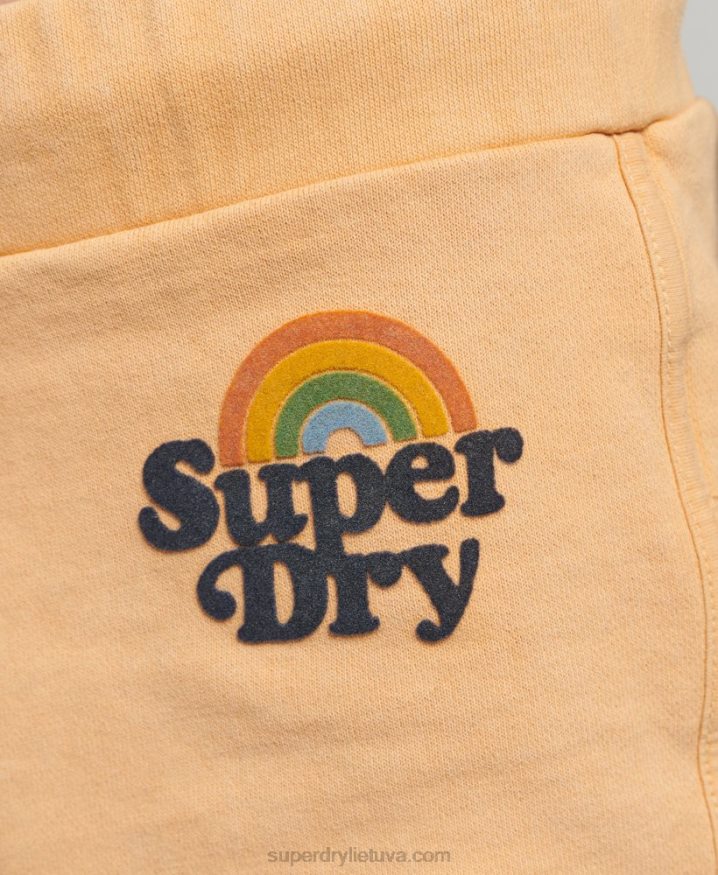 Superdry Rainbow Shorts Brown Women