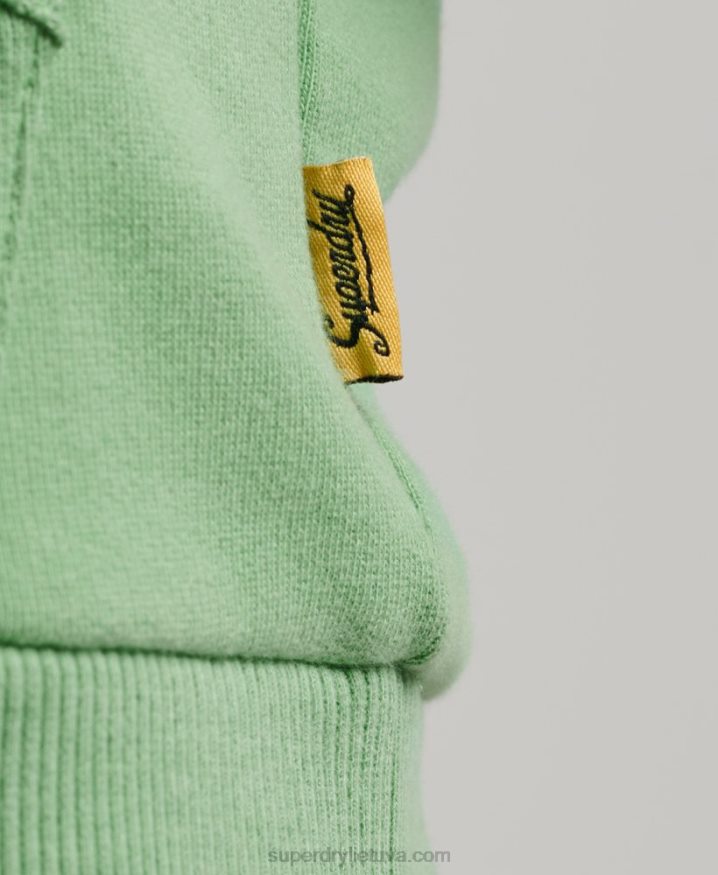 Superdry Terrain Logo Classic Hoodie Green Men