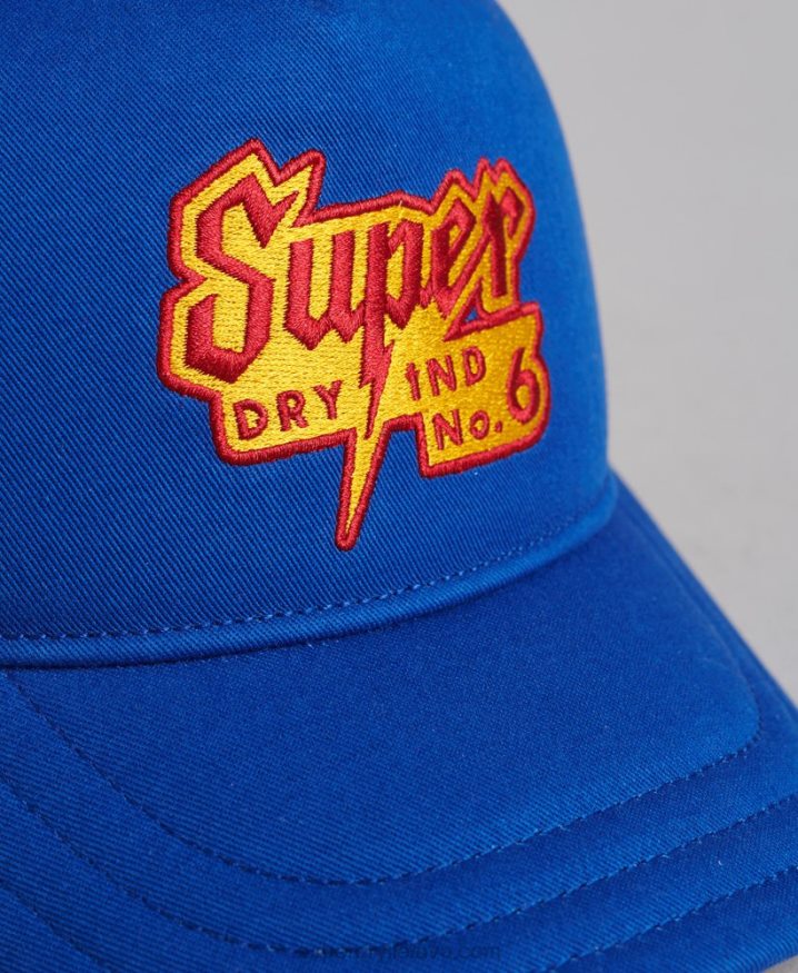 Superdry Vintage Graphic Trucker Cap Blue Men