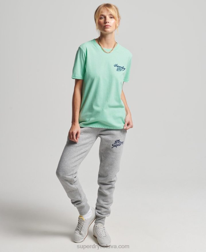 Superdry Vintage Pride In Craft T-Shirt Green Women