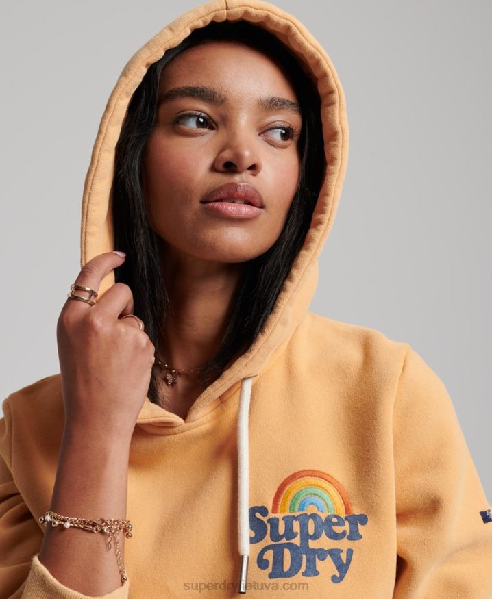 Superdry Vintage Rainbow Hoodie Brown Women