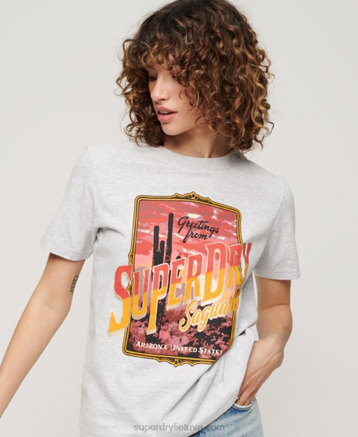 Superdry Travel Souvenir Graphic T-Shirt Grey Women